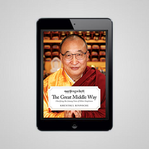 The Great Middle Way: Clarifying the Jonang View of Other-Emptiness